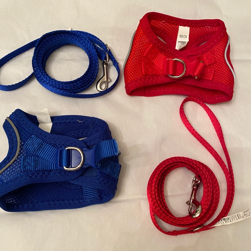 Blue Cat Leash 🐈‍⬛